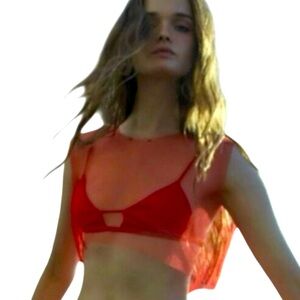 Zara Red Super‎ Sheer Crop Top Sz M NWT!